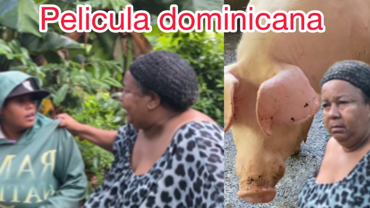 Pelicula dominicana se robaron el puerco de la navidad 🎄 