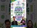 Class 11 Biology NotesChapter 6: Anatomy of Flowering Plants #biology #neet #reneet2024 #viral