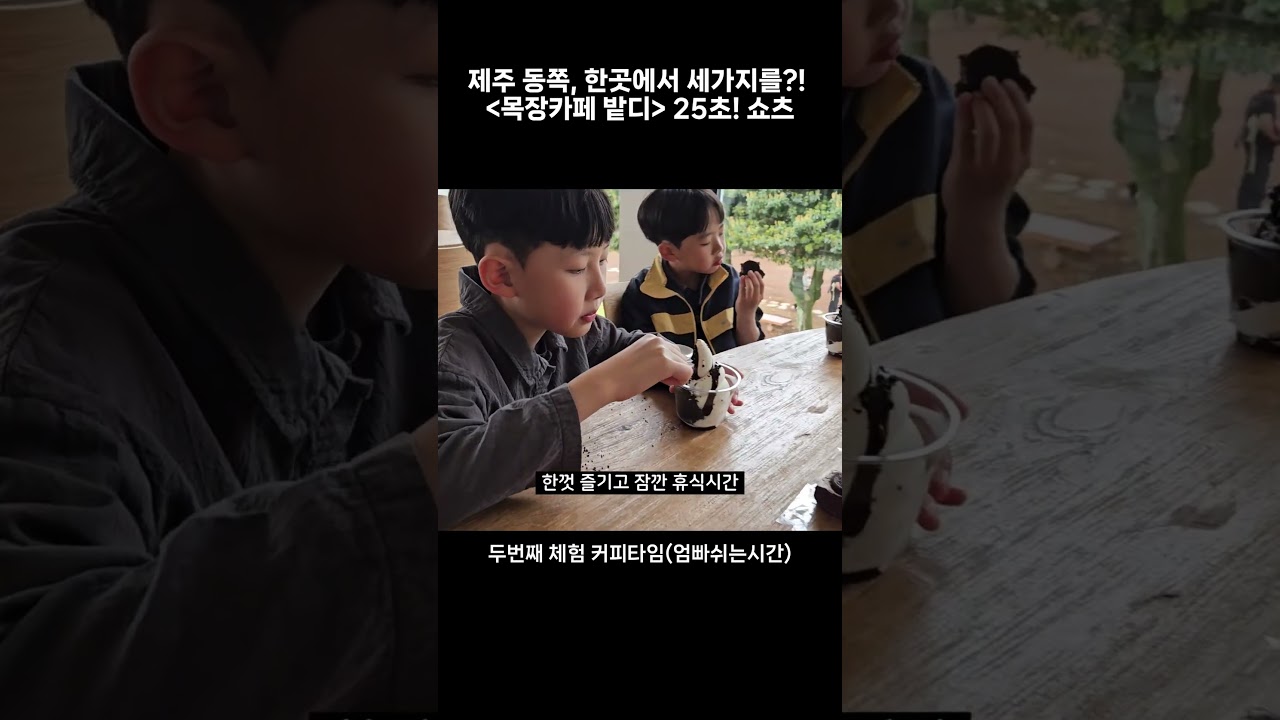 제주 동쪽 여행 - 한곳에서 세가지를?! 완벽한 1타 3피 목장카페 밭디 🐎 #shorts #제주여행