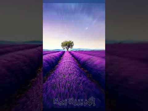 ف اص ب ر ص ب ر ا ج م يل ا ماهر المعيقلي