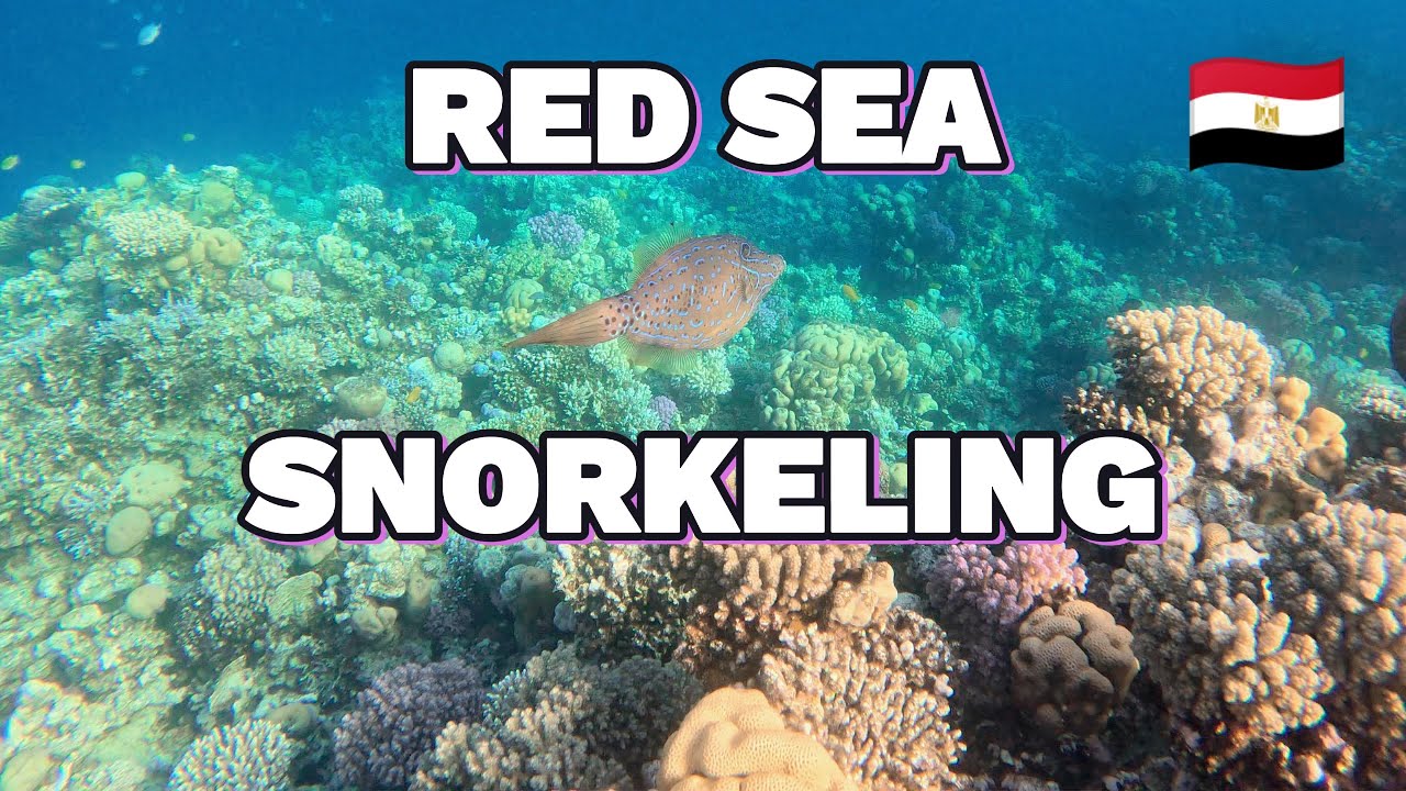 Snorkeling Adventure in Makadi Bay, Egypt