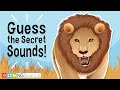 Identifying Everyday Sounds