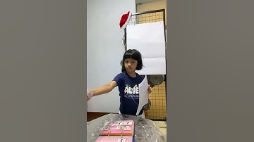 Stage 3 of PECS (Picture Discrimination)