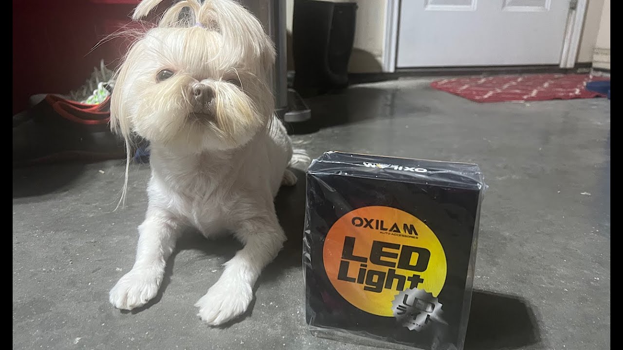 How to replace the glk 350 headlight from halogen to LED high beam YouTube