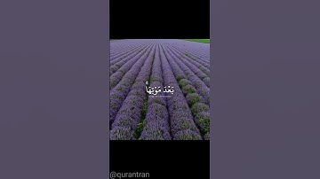 سورة الحديد اعْلَمُوا أَنَّ اللَّهَ يُحْيِي الْأَرْضَ بَعْدَ مَوْتِهَا قَدْ بَيَّنَّا لَكُمُ ....