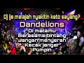 Dj funkot dandelions  viral tiktok  ije melajah nyakitin keto sayang remix