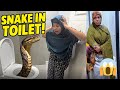 MALAYSIA WAXII LAGU SHEEGI JIRAY AYAA IHELAY HALIS IYO NAXDIN 