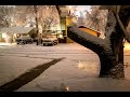 Colorado Blizzard Time-lapse March 2021