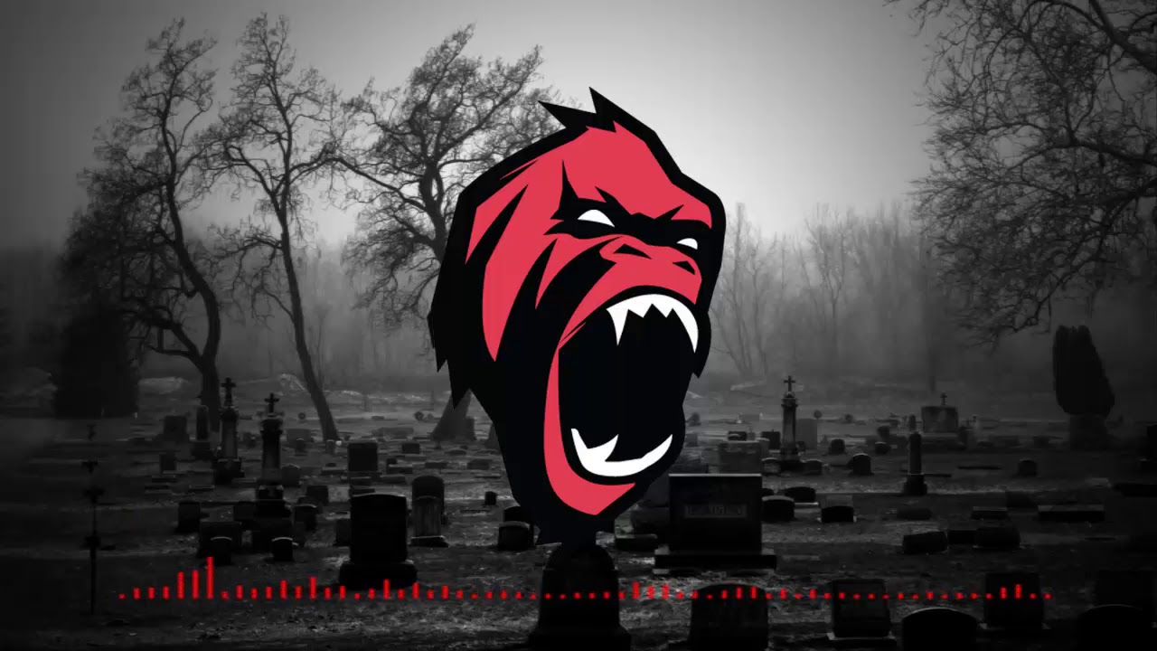 Zaitex - Tiger (JVCKHMR Festival)