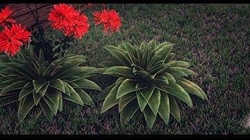 How To Create Realistic Plants in Blender - Part 2