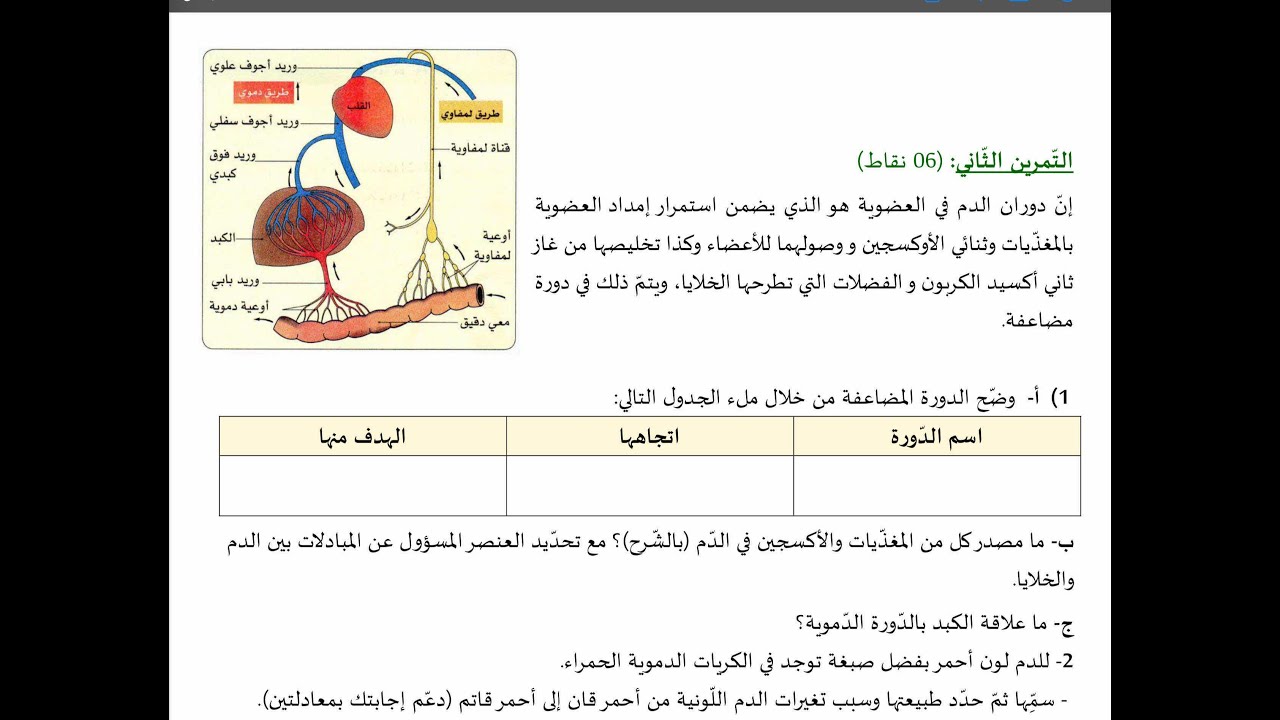 تحدي 50 يوم قبل الشهادة ( باقي 46 يوم فقط 😍❤️‍🔥✅)