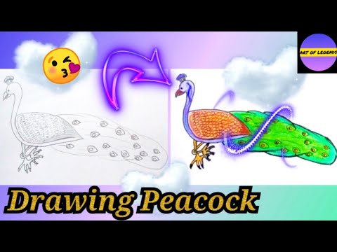 How to draw a Peacock || Easy ,,, step by step || - YouTube