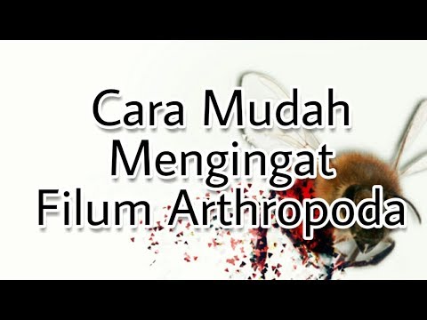 Cara Mudah Mengingat Filum Arthropoda