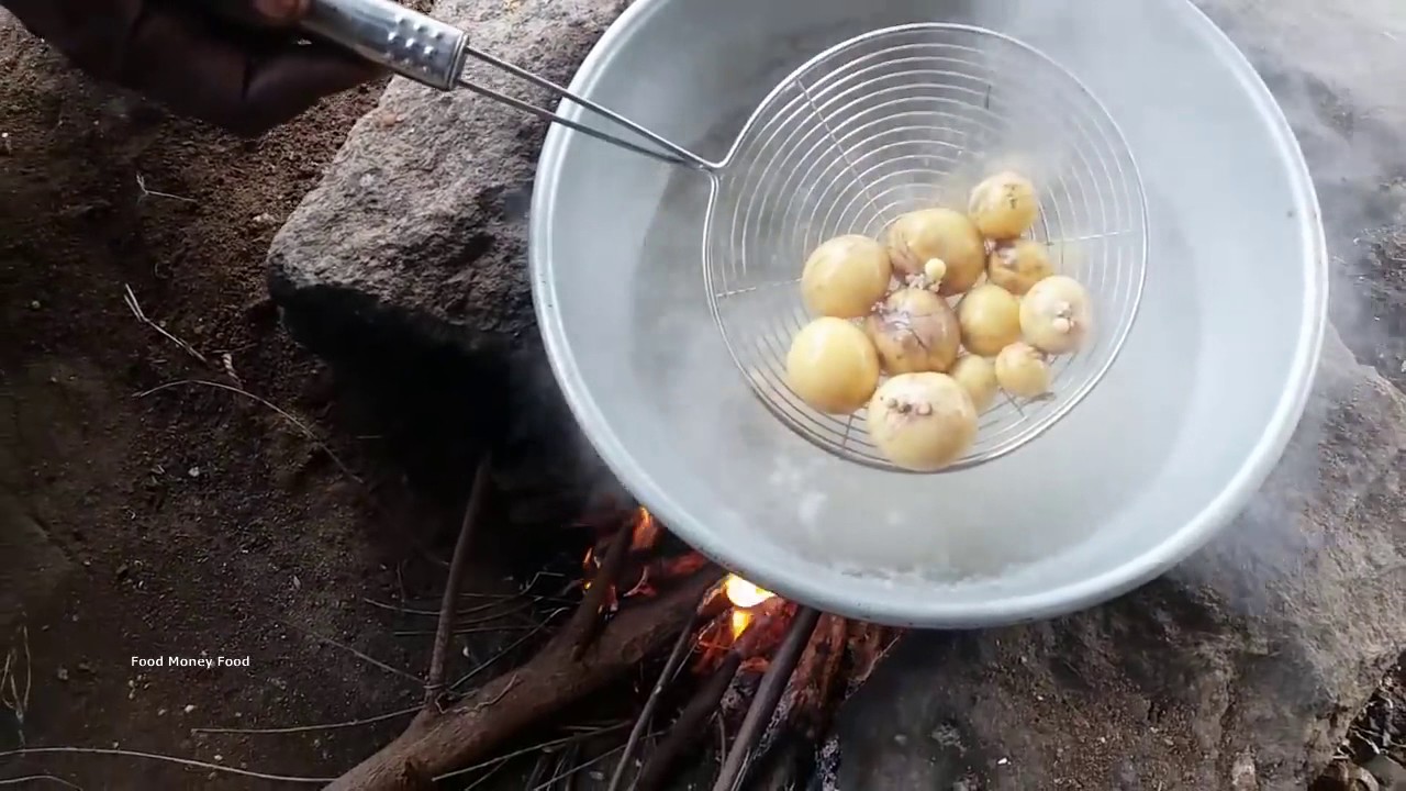 What Will Happen Boil Unlaid Chicken Eggs in Water YouTube