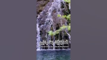 قرآن_کریم سورة التين قارى عبيد الرحمان #ياسر_الدوسر #المصحف #القزابري #اكسبلور