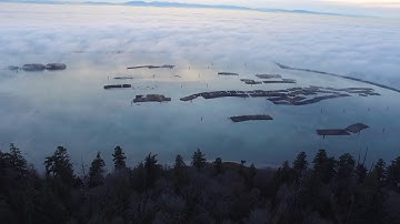 West Coast Views - Welcome to UBC