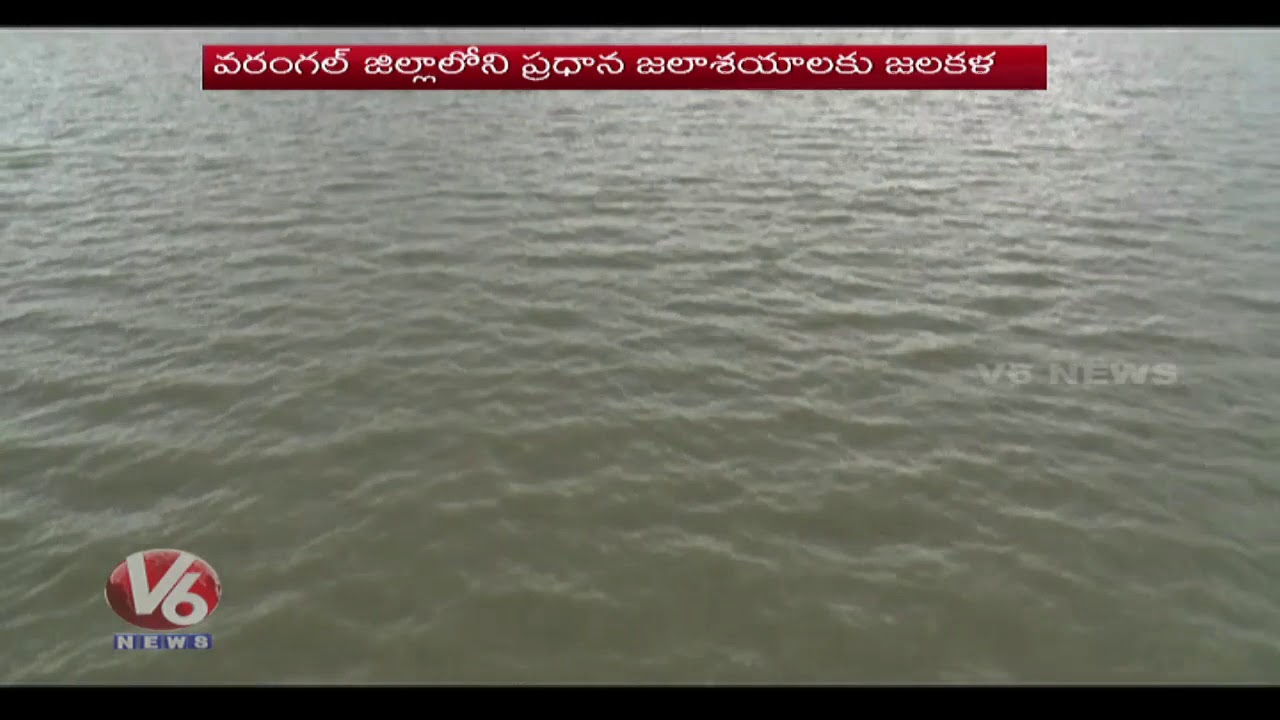 Warangal District Ponds Filled With Flood Water | Rain Effect | V6 News ...