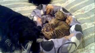 25102011006.mp4