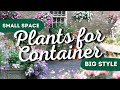 Small space big style the 7 best container garden flowers 