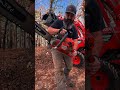 562 Limbing Pine