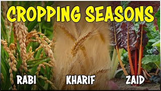Major Cropping Seasons in India: Kharif, Rabi, and Zaid | Cropping Pattern