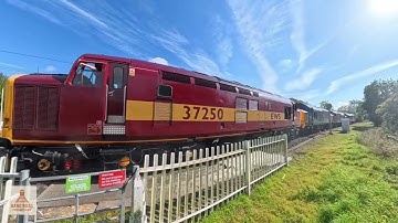 Class 37 Loco