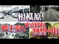 相模原 郷土愛ゼロ　東京移転熱望の街