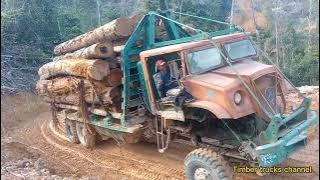 extreme dangerous [ logging truck ] santaiwong Malaysia the king off jangle lori balak Malaysia