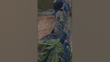 how you raid unraidable base(fence kit ladder glitch) #gaming #playstation #dayz #livestream#glitch