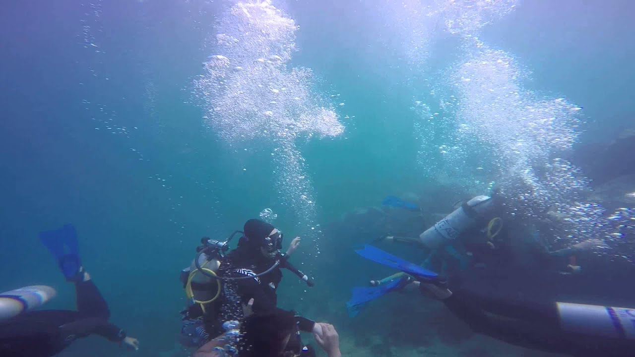 Diving in khourfakan UAE 8 YouTube