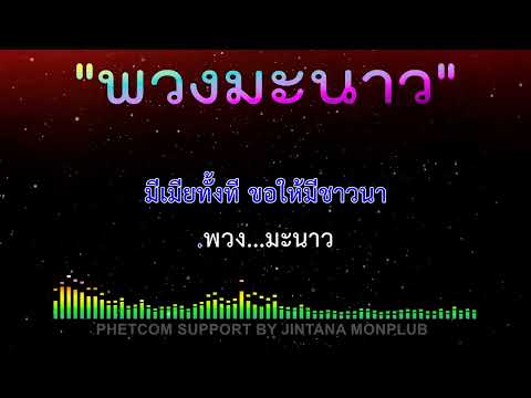 พวงมะนาว คาราโอเกะ Mdi Karaoke Cover 124/C#m