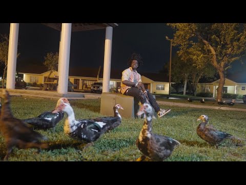 Kodak Black - Lil Birdie  [Official Music Video]