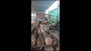 Incredible Wood Cutting with Machines!