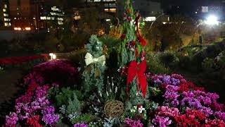 うめきたガーデン「クリスマスガーデンナイト」の準備が進む