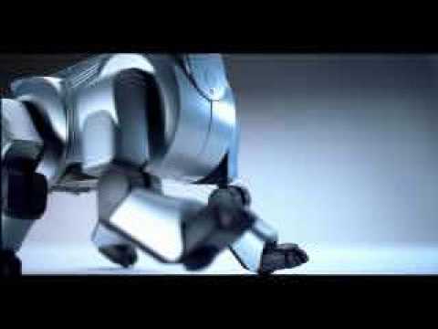AIBO   SKY   SCIFI