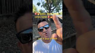 🚨SOME FORESTS/POSITIONS NOW OPEN🚨