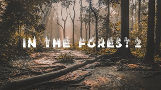 In The Forest 2  Acoustic Background Music (Royalty Free)