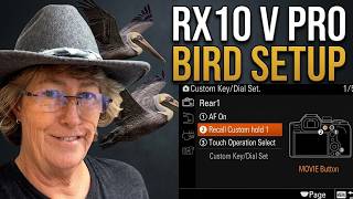 RX10 V Setup: How I Get Sharp Bird Photos Every Time RX10 V Setup: How I Get Sharp Bird Photos Every Time