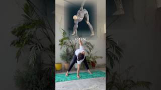 Wide Stance Rotation for Spinal Mobility & Hamstring Flexibility