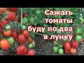 По два томаты в одну лунку. Минусы и плюсы посадки помидоров по два корня в лунку. Результаты сезона