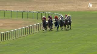 Vidéo de la course PMU PRIX D'AGONGES