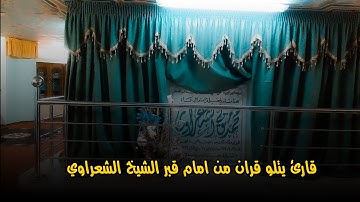قارئ يتلو قران من امام قبر الشيخ الشعراوي | يهز القلب والله باحساسه الجميل