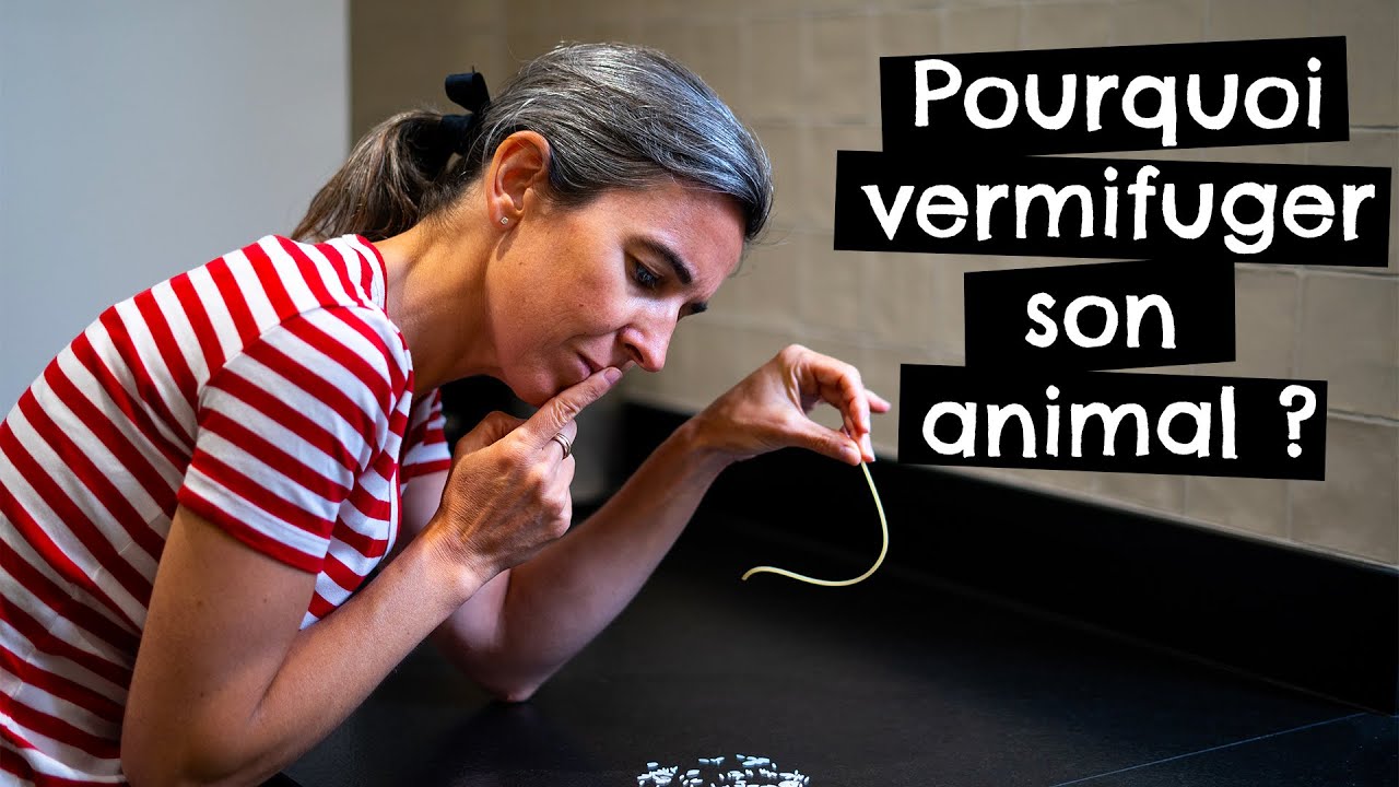 Tuto Vider Les Glandes Anales Tony Et Leon Conseils De Veterinaires Youtube