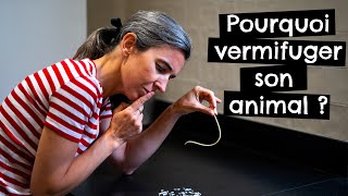 Pourquoi vermifuger son animal ?