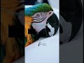 Cute Talking Parrot Moments with doctor You’ll Love 🦜😂#Parrot #TalkingParrot #CuteAnimals