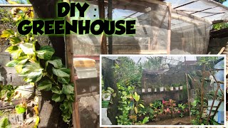 DIY GREENHOUSE