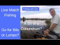 Live Match Fishing - Do I need lots of Bits or a few Lumps?????