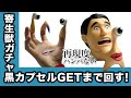 【寄生獣】ミギーコレクション シリーズ2、黒カプセル出るまで回した!!【ガチャガチャ】