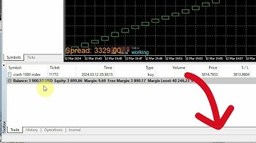Velocity Vector V1.0 (2024 Backtest) ($10 - $9000)
