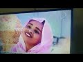فرقه البالمبو 0907763212 0902294426 فرقه البالمبو 0907763212 0902294426